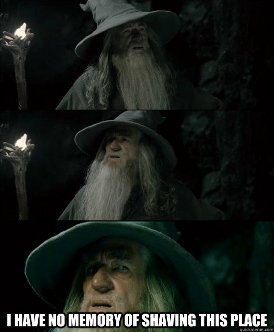  I have no memory of shaving this place  Confused Gandalf