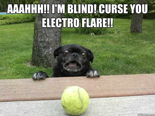 AAAHHH!! I'm Blind! CURSE YOU 
Electro Flare!!   