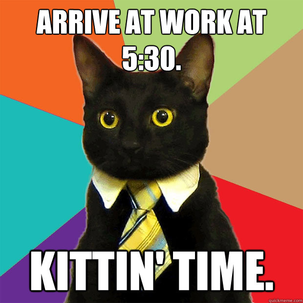 ARRIVE AT WORK AT 5:30. kITTIN' TIME.  Business Cat