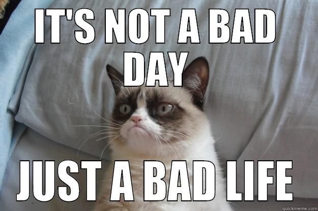 IT'S NOT A BAD DAY JUST A BAD LIFE Grumpy Cat