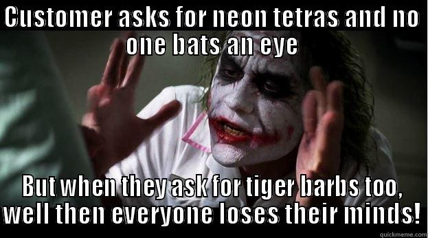 CUSTOMER ASKS FOR NEON TETRAS AND NO ONE BATS AN EYE BUT WHEN THEY ASK FOR TIGER BARBS TOO, WELL THEN EVERYONE LOSES THEIR MINDS! Joker Mind Loss