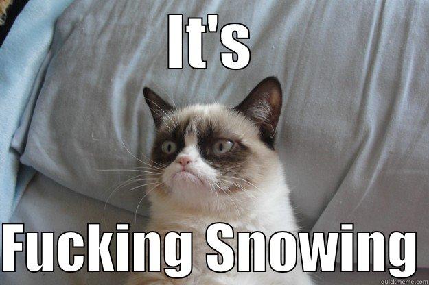 IT'S  FUCKING SNOWING Grumpy Cat