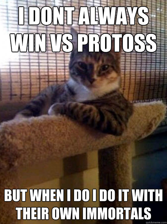 I dont always win vs Protoss but when i do i do it with their own Immortals  The Most Interesting Cat in the World