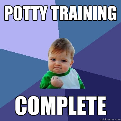 Potty training  complete - Potty training  complete  Success Kid