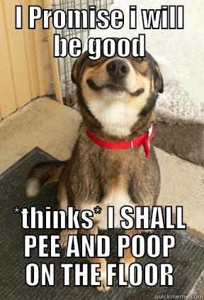 I PROMISE I WILL BE GOOD *THINKS* I SHALL PEE AND POOP ON THE FLOOR Good Dog Greg