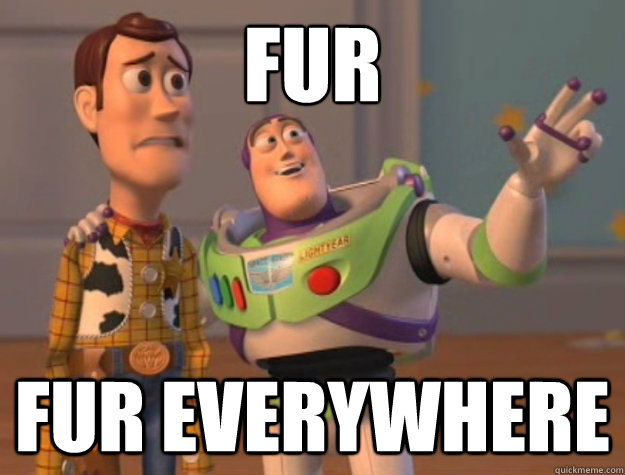 Fur Fur everywhere  Buzz Lightyear