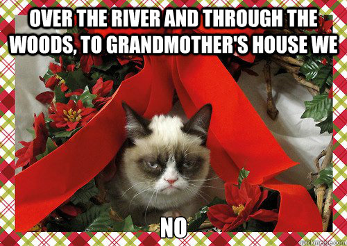 Over the river and through the woods, to Grandmother's house we No  A Grumpy Cat Christmas