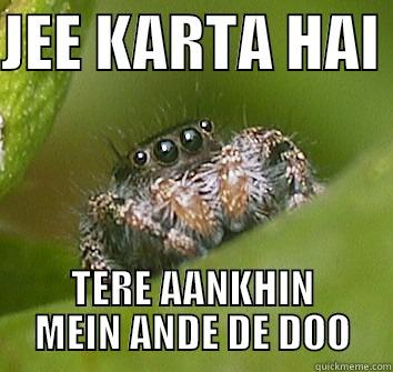 JEE KARTA HAI  TERE AANKHIN MEIN ANDE DE DOO Misunderstood Spider