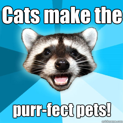 Cats make the purr-fect pets! - Cats make the purr-fect pets!  Lame Pun Coon