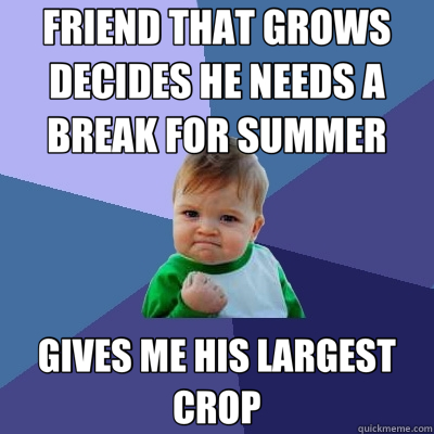 FRIEND THAT GROWS DECIDES HE NEEDS A BREAK FOR SUMMER GIVES ME HIS LARGEST CROP  Success Kid