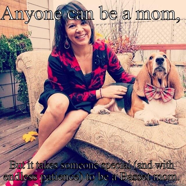 ANYONE CAN BE A MOM,  BUT IT TAKES SOMEONE SPECIAL (AND WITH ENDLESS PATIENCE) TO BE A BASSET MOM. Misc