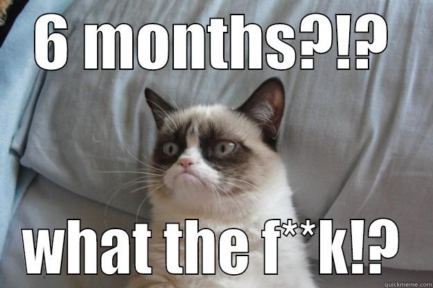 pissed off cat - 6 MONTHS?!? WHAT THE F**K!? Grumpy Cat