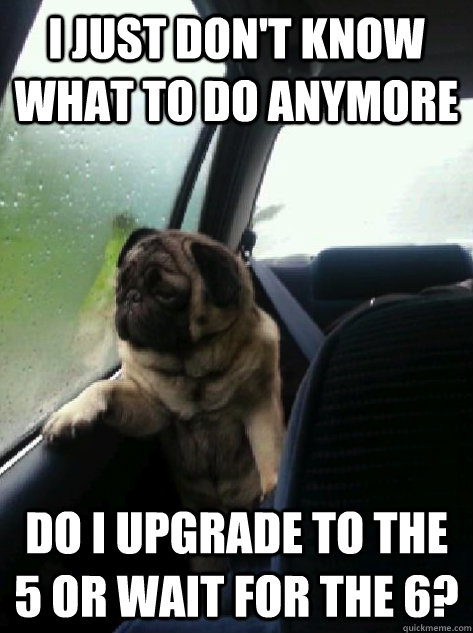 i just don't know what to do anymore do i upgrade to the 5 or wait for the 6?  Introspective Pug