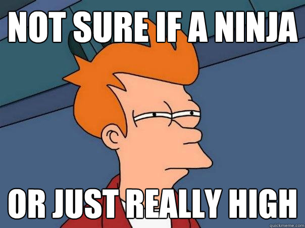 Not sure if a ninja or just really high  Futurama Fry