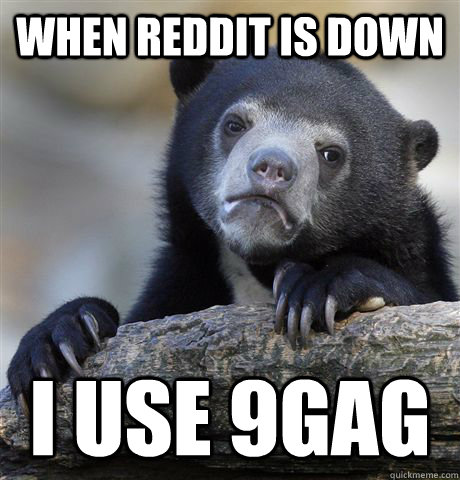 When Reddit is down I use 9gag - When Reddit is down I use 9gag  Confession Bear