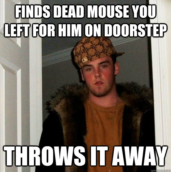 finds dead mouse you left for him on doorstep throws it away  Scumbag Steve