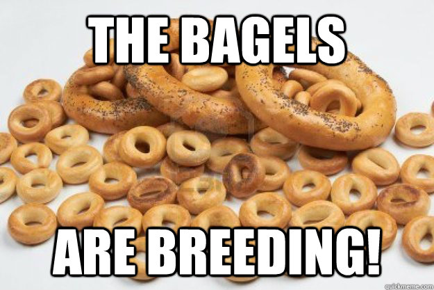 The BAGELS ARE BREEDING! - The BAGELS ARE BREEDING!  BAGEL