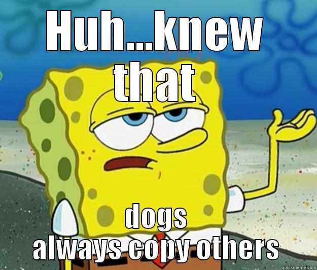 foolish dog copying - HUH...KNEW THAT DOGS ALWAYS COPY OTHERS Tough Spongebob