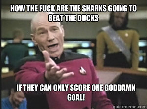 HOW THE FUCK ARE THE SHARKS GOING TO BEAT THE DUCKS IF THEY CAN ONLY SCORE ONE GODDAMN GOAL! - HOW THE FUCK ARE THE SHARKS GOING TO BEAT THE DUCKS IF THEY CAN ONLY SCORE ONE GODDAMN GOAL!  Annoyed Picard