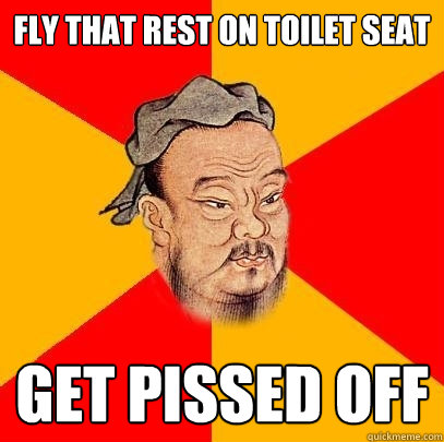 fly that rest on toilet seat get pissed off  Confucius says