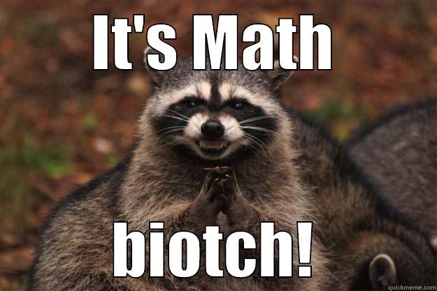 IT'S MATH BIOTCH! Evil Plotting Raccoon