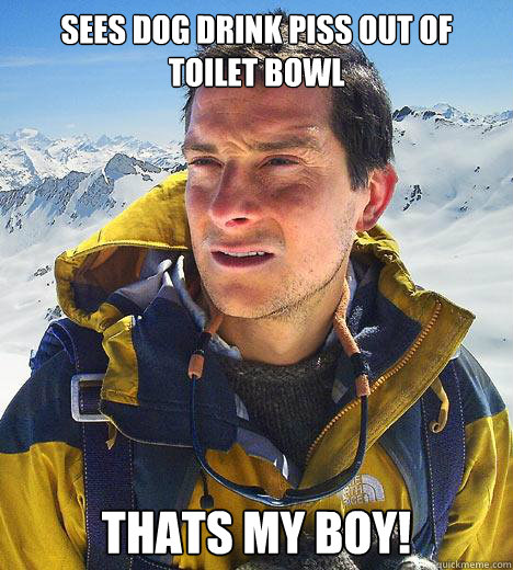 sees dog drink piss out of toilet bowl thats my boy!  Bear Grylls