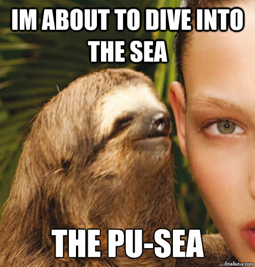 Im about to dive into the sea The pu-sea  rape sloth