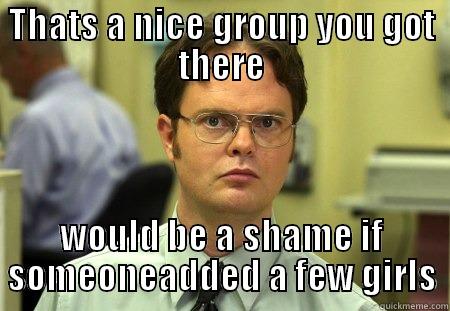 THATS A NICE GROUP YOU GOT THERE WOULD BE A SHAME IF SOMEONEADDED A FEW GIRLS Schrute