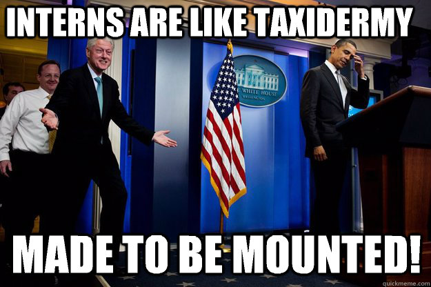 interns are like taxidermy made to be mounted!  Inappropriate Timing Bill Clinton