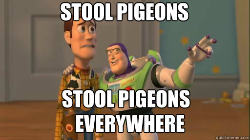 Stool pigeons Stool pigeons  Everywhere  Everywhere