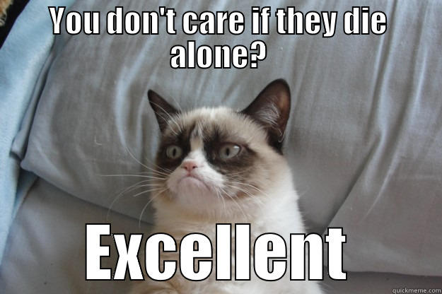 YOU DON'T CARE IF THEY DIE ALONE? EXCELLENT Grumpy Cat