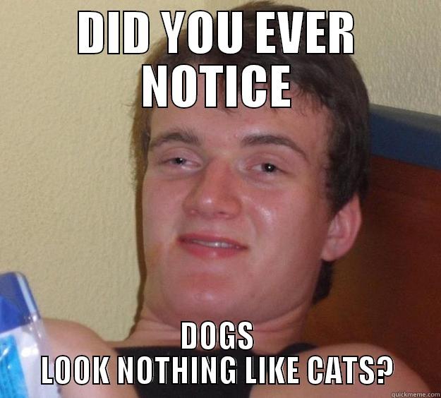 Really High Guy - DID YOU EVER NOTICE DOGS LOOK NOTHING LIKE CATS? 10 Guy