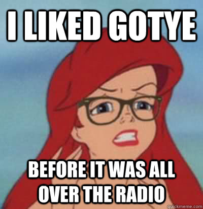 I liked GOTYE before it was all over the radio  Hipster Ariel