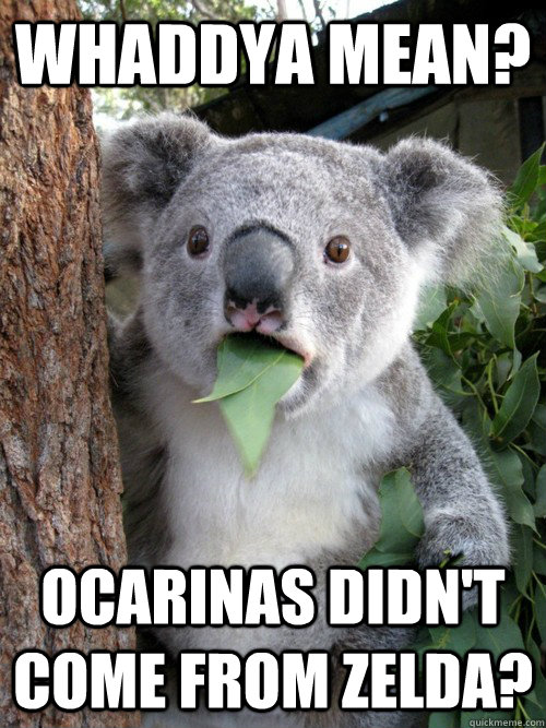 Whaddya mean? ocarinas didn't come from Zelda? - Whaddya mean? ocarinas didn't come from Zelda?  koala bear