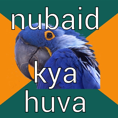 good boy - NUBAID KYA HUVA Paranoid Parrot