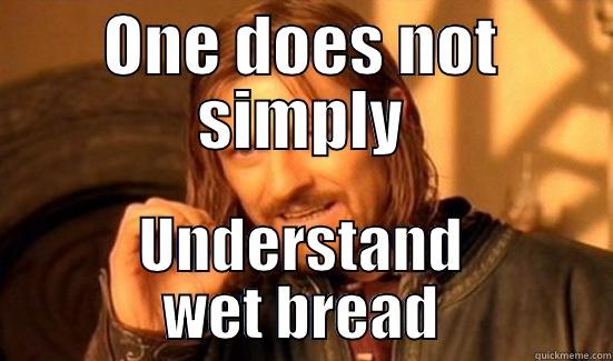 ONE DOES NOT SIMPLY UNDERSTAND WET BREAD Boromir