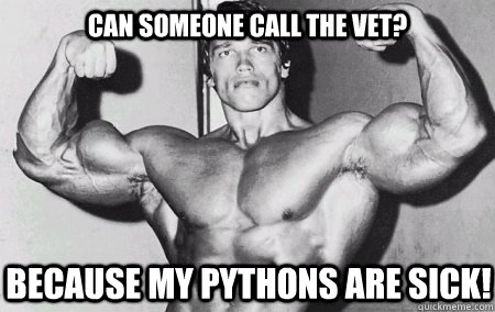 Can someone call the vet? Because my pythons are sick!  