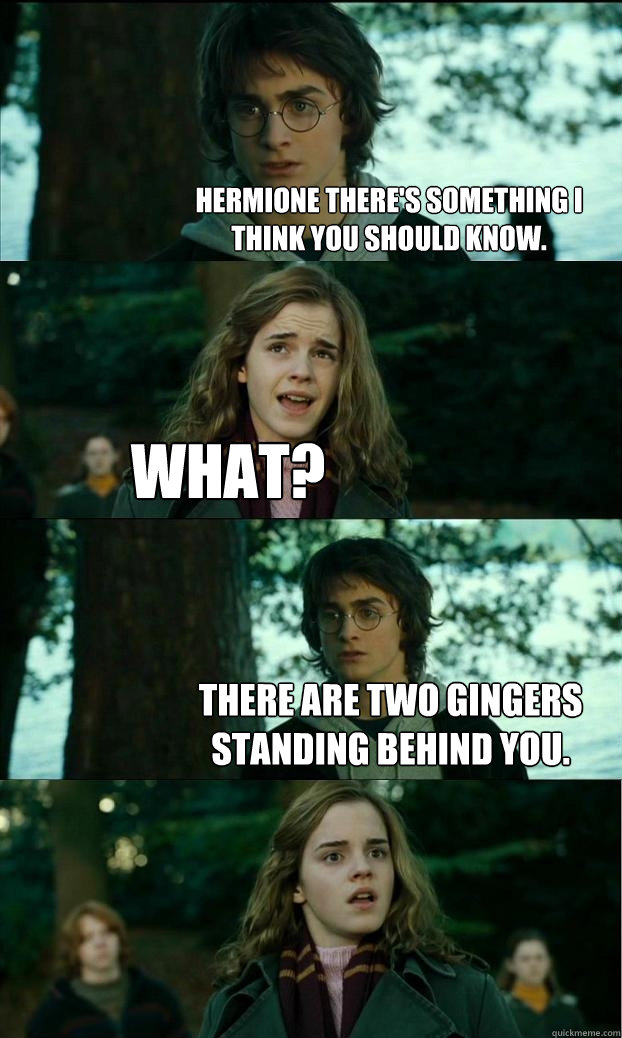 Hermione there's something i think you should know. What? There are two gingers standing behind you.  Horny Harry