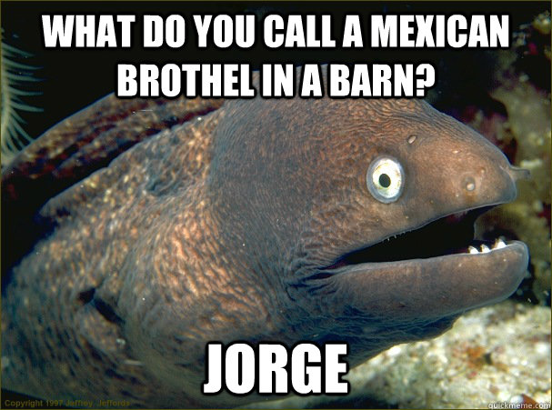 What do you call a Mexican brothel in a barn? Jorge  Bad Joke Eel