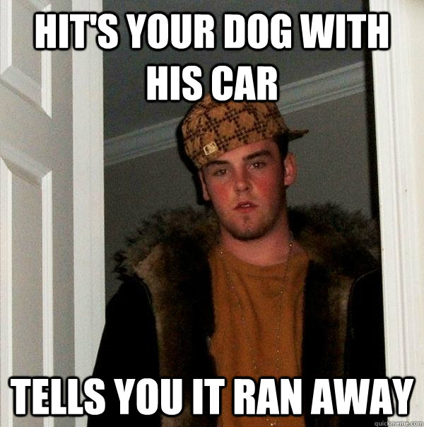 hit's your dog with his car tells you it ran away  Scumbag Steve