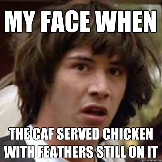 my face when the caf served chicken with feathers still on it  conspiracy keanu