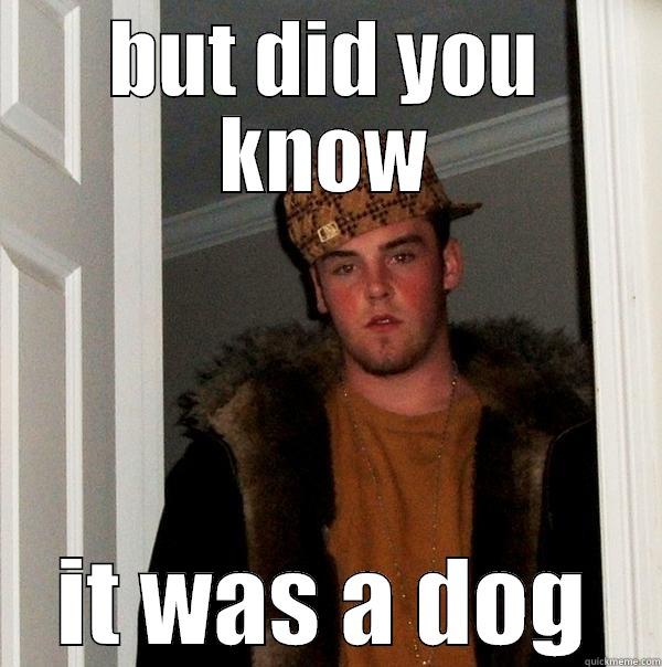 BUT DID YOU KNOW IT WAS A DOG Scumbag Steve