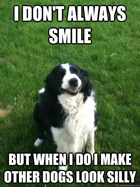 I don't always smile but when I do i make other dogs look silly - I don't always smile but when I do i make other dogs look silly  Misc