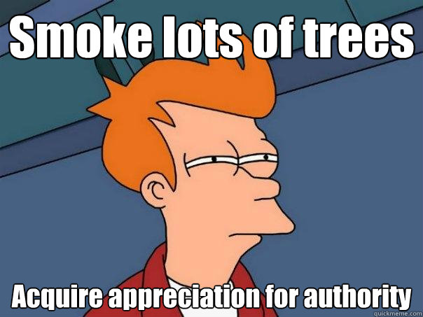 Smoke lots of trees Acquire appreciation for authority  Futurama Fry