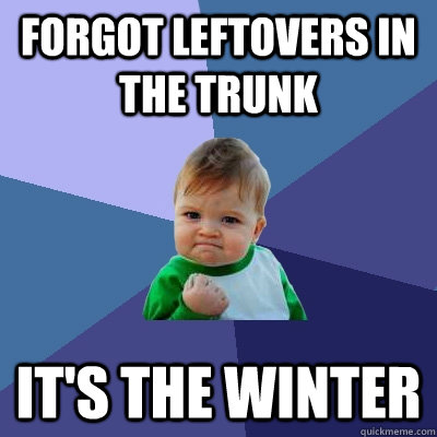 Forgot leftovers in the trunk It's the winter  Success Kid