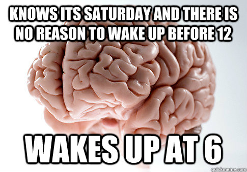 Knows its saturday and there is no reason to wake up before 12 Wakes up at 6  Scumbag Brain