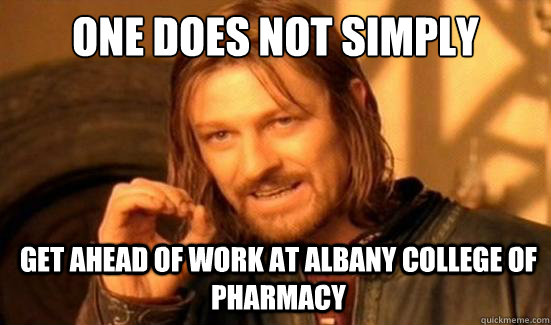 One Does Not Simply Get ahead of work at Albany college of pharmacy  Boromir