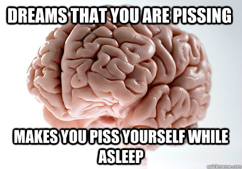 DREAMS THAT YOU ARE PISSING MAKES YOU PISS YOURSELF WHILE ASLEEP - DREAMS THAT YOU ARE PISSING MAKES YOU PISS YOURSELF WHILE ASLEEP  Scumbag Brain