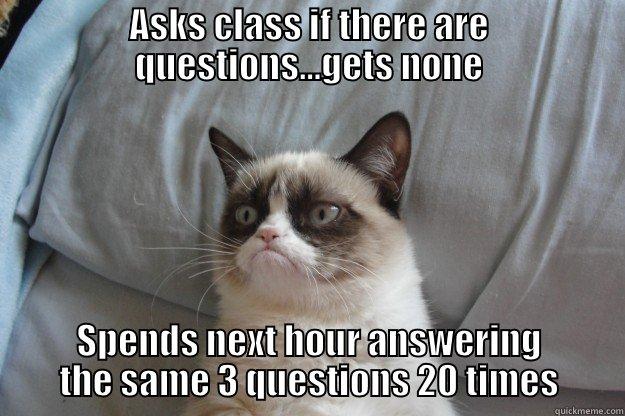 ASKS CLASS IF THERE ARE QUESTIONS...GETS NONE SPENDS NEXT HOUR ANSWERING THE SAME 3 QUESTIONS 20 TIMES Grumpy Cat