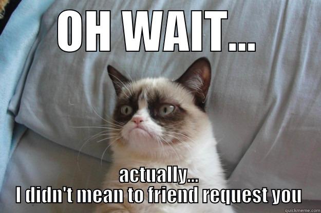 oops, wrong person - OH WAIT... ACTUALLY... I DIDN'T MEAN TO FRIEND REQUEST YOU Grumpy Cat